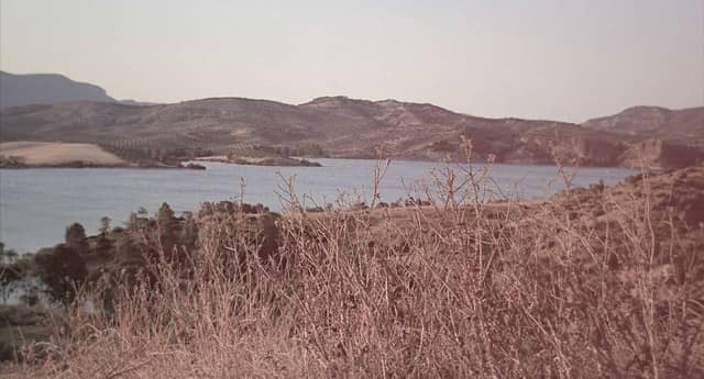 TYCyAeG